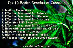 Benefits-of-Cannabis